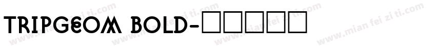 TRIPGEOM BOLD字体转换
